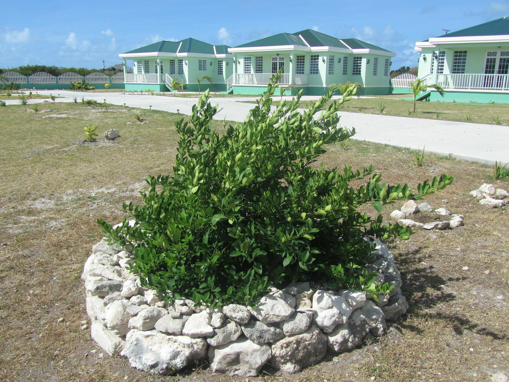 Sea Grape Villas The Settlement Экстерьер фото